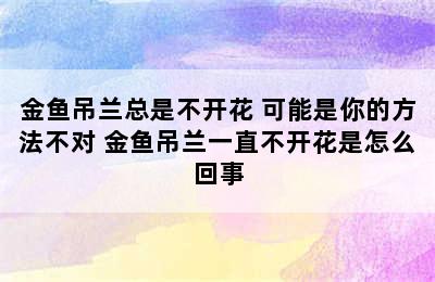 金鱼吊兰总是不开花 可能是你的方法不对 金鱼吊兰一直不开花是怎么回事